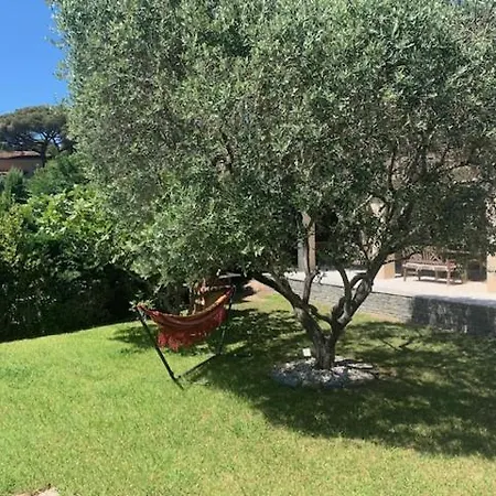 Apartment Maison Piscine Proche St Tropez Gassin